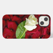 Witte Roos Op Rode Bloemblaadjes iPhone Hoesje (Achterkant horizontaal)