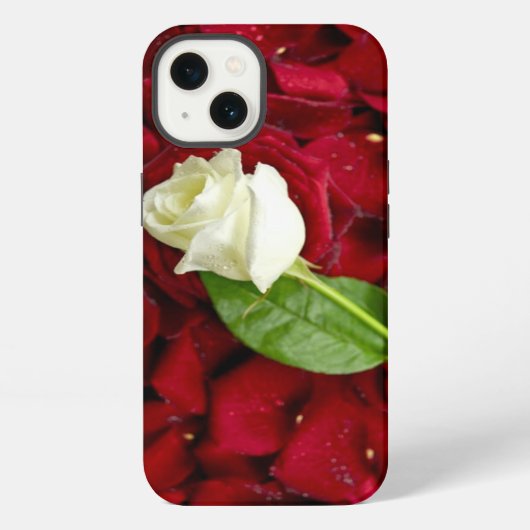 Witte Roos Op Rode Bloemblaadjes iPhone Hoesje (Achterkant)