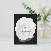 Witte roos op zwart, bruiloft uitnodiging Briefkaa (Staand voorkant)