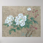 Witte Roos Poster (Voorkant)