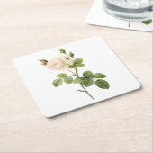 witte roos (Rosa campanulata alba) van Redouté Kartonnen Onderzetters (Schuin)