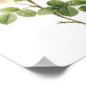 witte roos (Rosa campanulata alba) van Redouté Poster (Hoek)