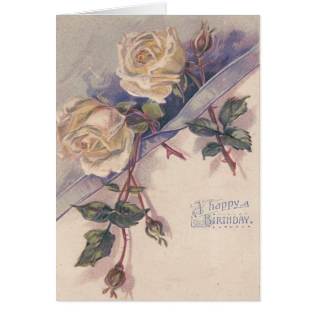 Witte roos Rozen (Voorkant)