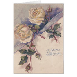 Witte Roos Rozen Bloemen