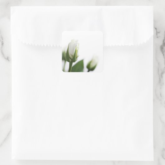 Witte roos sticker (Tas)