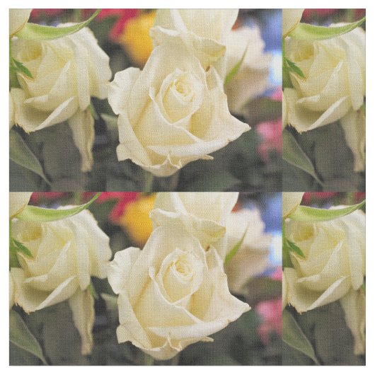 Witte roos stof (Close Up)