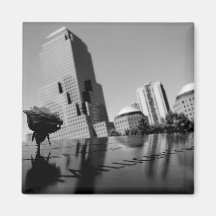 Witte roos ter nagedachtenis