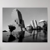 Witte roos ter nagedachtenis poster (Voorkant)