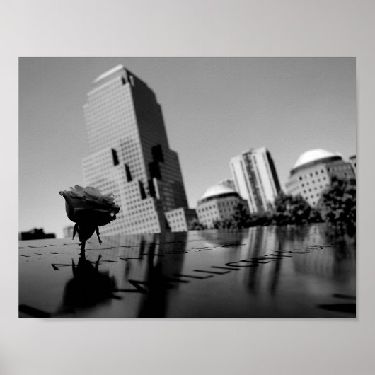 Witte roos ter nagedachtenis poster (Voorkant)