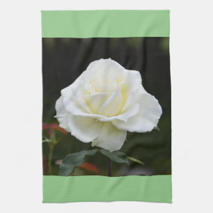 Witte roos theedoek