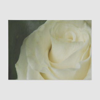 Witte Roos Tissuepapier