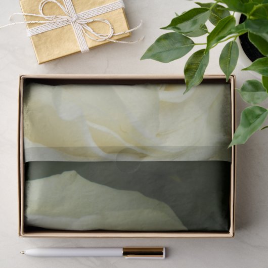 Witte Roos Tissuepapier (Geschenk)