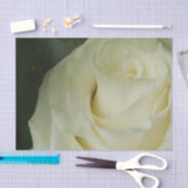 Witte Roos Tissuepapier (Craft)