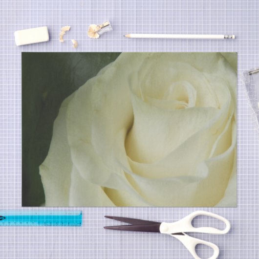 Witte Roos Tissuepapier (Craft)