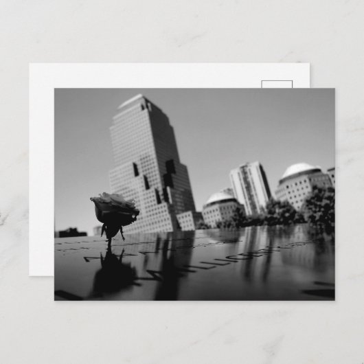 Witte roos van herinnering briefkaart (Voorkant / Achterkant)