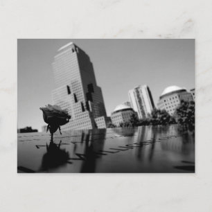 Witte roos van herinnering briefkaart