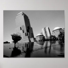 Witte roos van herinnering poster