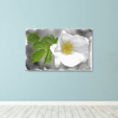 Witte Roos Wilde bloem Canvas Afdruk (Insitu (Houten vloer))