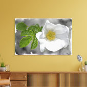 Witte Roos Wilde bloem Canvas Afdruk (Insitu (Woonkamer))