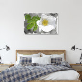 Witte Roos Wilde bloem Canvas Afdruk (Insitu (Slaapkamer))