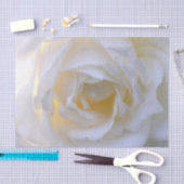 Witte roos zachte focus tissuepapier (Craft)