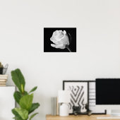 Witte Roos Zwart en Wit Fotografisch Kunstwerk Poster (Thuiskantoor)
