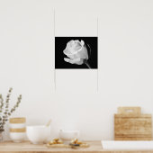 Witte Roos Zwart en Wit Fotografisch Kunstwerk Poster (Keuken)