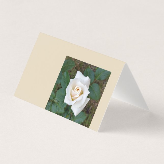 witte roosknop kaart (Voorkant)
