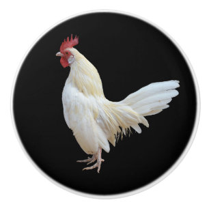 WITTE ROOSTER* KERAMISCHE KNOP