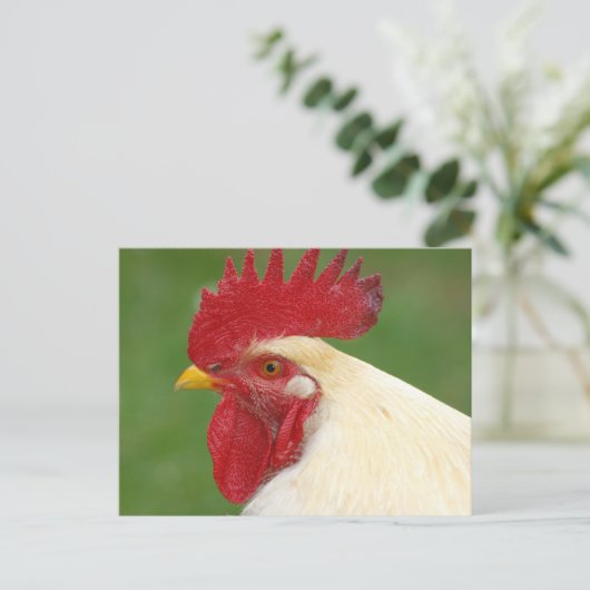 Witte Rooster met rood Briefkaart (Staand voorkant)