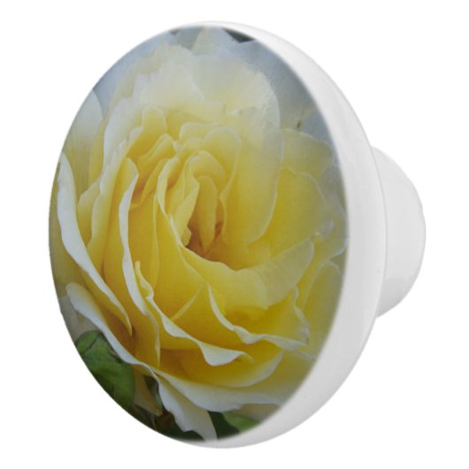 Witte Rose Aangepaste Keramische knop (Rechts)