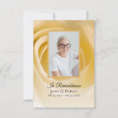 Witte Rose Bloemblaadjes Begrafenissympathie Bedankkaart (Voorkant)