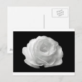 Witte Rose Bloesems Bloemen Tuin Vrede Liefde Kuns Briefkaart (Voorkant / Achterkant)