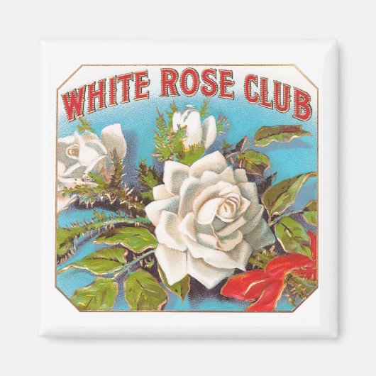 Witte Rose Club Flowers Magneet (Voorkant)
