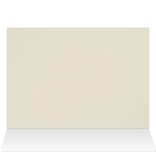 Witte Rose Elegantie (Binnen Horizontaal (Boven))