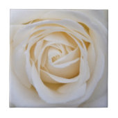 Witte rose keramische tegel tegeltje (Voorkant)