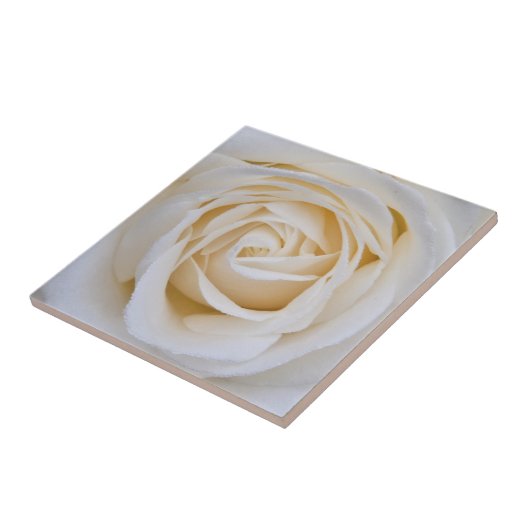 Witte rose keramische tegel tegeltje (Zijkant)