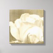 Witte Rose Liefde Canvas Afdruk (Voorkant)