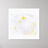*~* Witte Rose Macro Bloemen Abstract Grunge AR8 Canvas Afdruk (Voorkant)