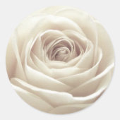  witte Rose Ronde Sticker (Voorkant)