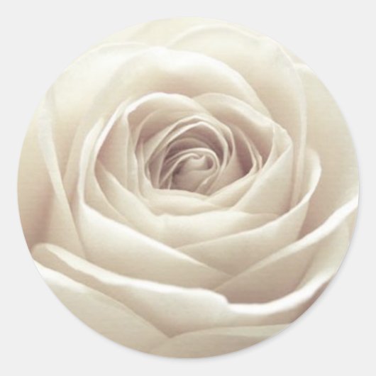 witte Rose Ronde Sticker (Voorkant)