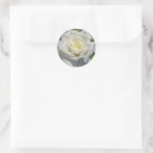 Witte Rose Stickers (Tas)
