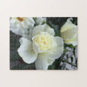Witte Rose Tuin Foto Legpuzzel (Horizontaal)