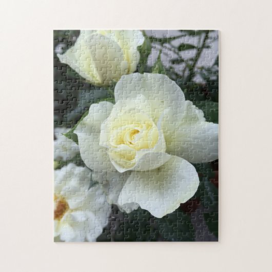 Witte Rose Tuin Foto Legpuzzel (Verticaal)