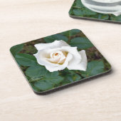 witte rosebud drankjes onderzetter (Linkerzijde)