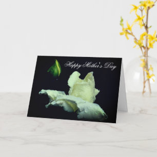 Witte Rosebud Flower Moederdag Kaart