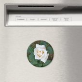 witte rosebud magneet (Insitu (Vaatwasser))