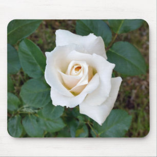 witte rosebud muismat