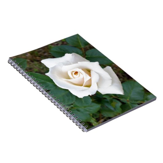 witte rosebud notitieboek (Rechterzijde)