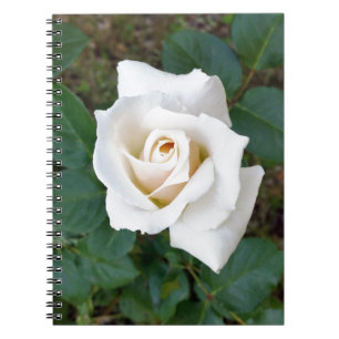 witte rosebud notitieboek
